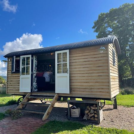 Toadland Shepherd Huts 杜伦 外观 照片